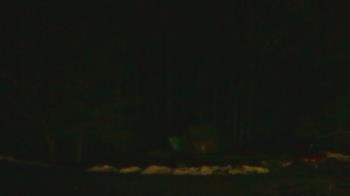 Weather camera view of John Dorr Nature Lab-Horace Mann School.