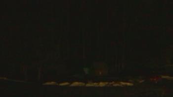 Weather camera view of John Dorr Nature Lab-Horace Mann School.