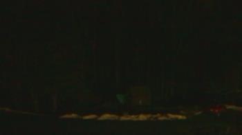 Weather camera view of John Dorr Nature Lab-Horace Mann School.