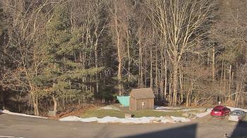 Weather camera view of John Dorr Nature Lab-Horace Mann School.