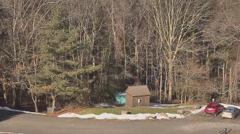 Weather camera view of John Dorr Nature Lab-Horace Mann School.