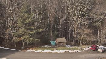 Weather camera view of John Dorr Nature Lab-Horace Mann School.