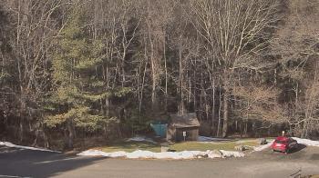 Weather camera view of John Dorr Nature Lab-Horace Mann School.