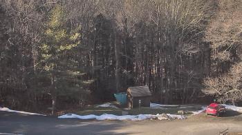 Weather camera view of John Dorr Nature Lab-Horace Mann School.