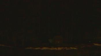 Weather camera view of John Dorr Nature Lab-Horace Mann School.