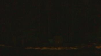 Weather camera view of John Dorr Nature Lab-Horace Mann School.