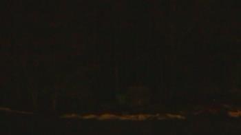 Weather camera view of John Dorr Nature Lab-Horace Mann School.