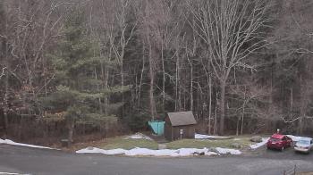 Weather camera view of John Dorr Nature Lab-Horace Mann School.