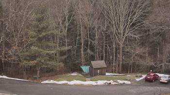 Weather camera view of John Dorr Nature Lab-Horace Mann School.