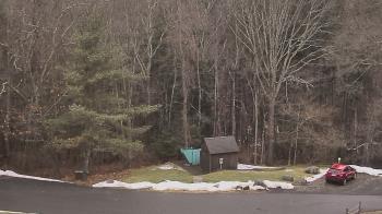 Weather camera view of John Dorr Nature Lab-Horace Mann School.