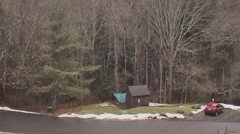 Weather camera view of John Dorr Nature Lab-Horace Mann School.