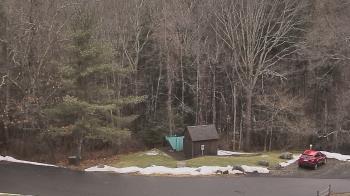 Weather camera view of John Dorr Nature Lab-Horace Mann School.