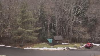 Weather camera view of John Dorr Nature Lab-Horace Mann School.