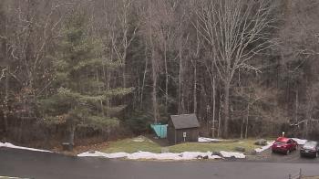 Weather camera view of John Dorr Nature Lab-Horace Mann School.