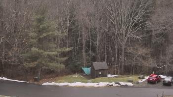 Weather camera view of John Dorr Nature Lab-Horace Mann School.