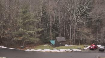 Weather camera view of John Dorr Nature Lab-Horace Mann School.