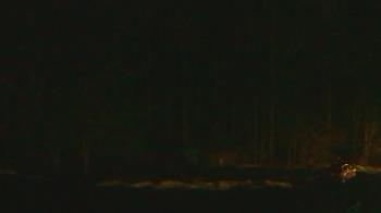 Weather camera view of John Dorr Nature Lab-Horace Mann School.