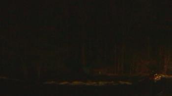 Weather camera view of John Dorr Nature Lab-Horace Mann School.