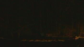 Weather camera view of John Dorr Nature Lab-Horace Mann School.