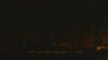 Weather camera view of John Dorr Nature Lab-Horace Mann School.