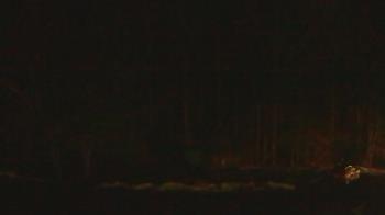 Weather camera view of John Dorr Nature Lab-Horace Mann School.