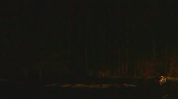 Weather camera view of John Dorr Nature Lab-Horace Mann School.