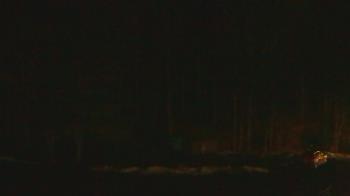 Weather camera view of John Dorr Nature Lab-Horace Mann School.