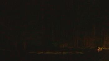 Weather camera view of John Dorr Nature Lab-Horace Mann School.