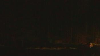 Weather camera view of John Dorr Nature Lab-Horace Mann School.