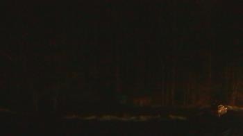 Weather camera view of John Dorr Nature Lab-Horace Mann School.