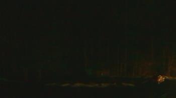 Weather camera view of John Dorr Nature Lab-Horace Mann School.