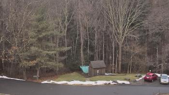 Weather camera view of John Dorr Nature Lab-Horace Mann School.