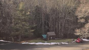 Weather camera view of John Dorr Nature Lab-Horace Mann School.