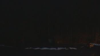 Weather camera view of John Dorr Nature Lab-Horace Mann School.