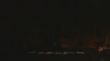 Weather camera view of John Dorr Nature Lab-Horace Mann School.