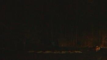 Weather camera view of John Dorr Nature Lab-Horace Mann School.