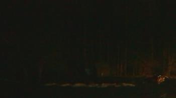 Weather camera view of John Dorr Nature Lab-Horace Mann School.