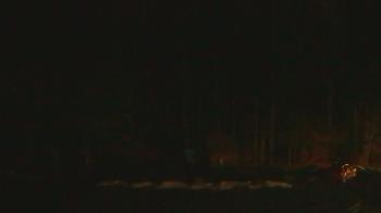 Weather camera view of John Dorr Nature Lab-Horace Mann School.