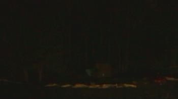 Weather camera view of John Dorr Nature Lab-Horace Mann School.