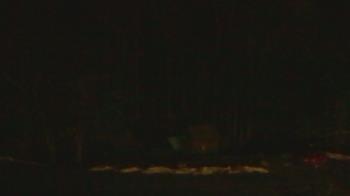 Weather camera view of John Dorr Nature Lab-Horace Mann School.