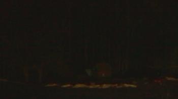 Weather camera view of John Dorr Nature Lab-Horace Mann School.