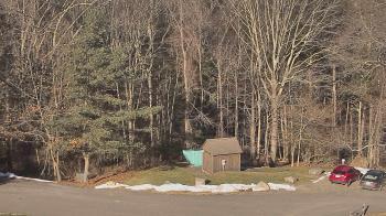 Weather camera view of John Dorr Nature Lab-Horace Mann School.