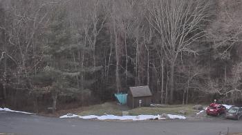 Weather camera view of John Dorr Nature Lab-Horace Mann School.