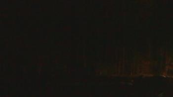 Weather camera view of John Dorr Nature Lab-Horace Mann School.