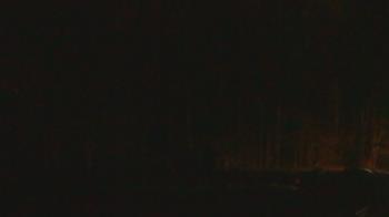 Weather camera view of John Dorr Nature Lab-Horace Mann School.