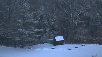 Weather camera view of John Dorr Nature Lab-Horace Mann School.