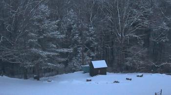 Weather camera view of John Dorr Nature Lab-Horace Mann School.