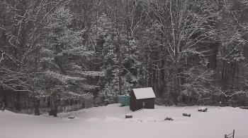 Weather camera view of John Dorr Nature Lab-Horace Mann School.