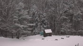 Weather camera view of John Dorr Nature Lab-Horace Mann School.