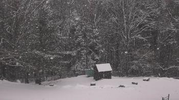 Weather camera view of John Dorr Nature Lab-Horace Mann School.